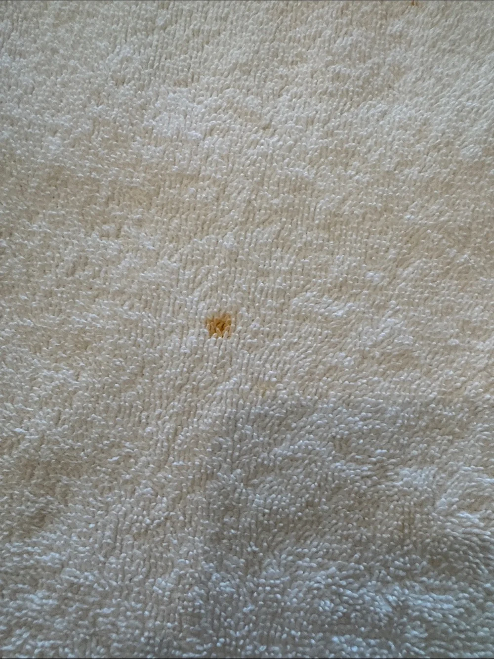2- Matching Ralph Lauren White and Gold Safari Crest Towel